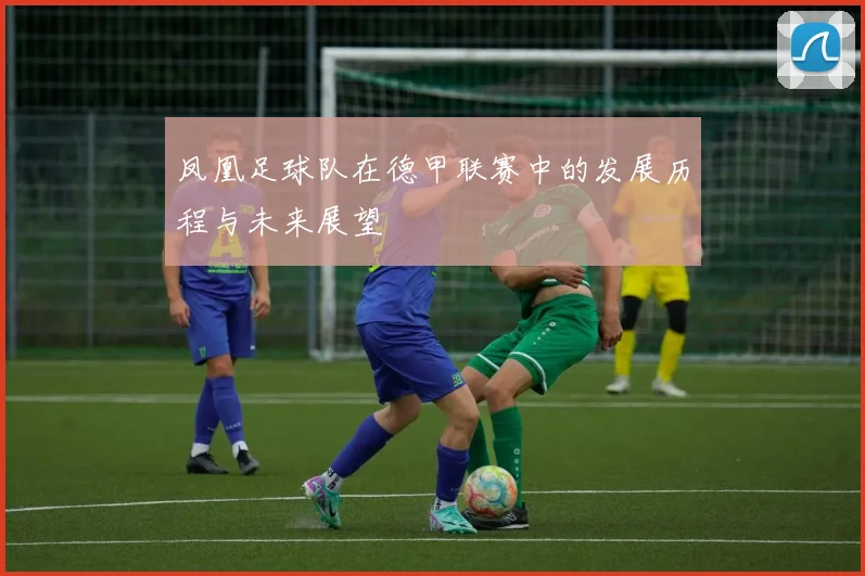 凤凰足球队在德甲联赛中的发展历程与未来展望