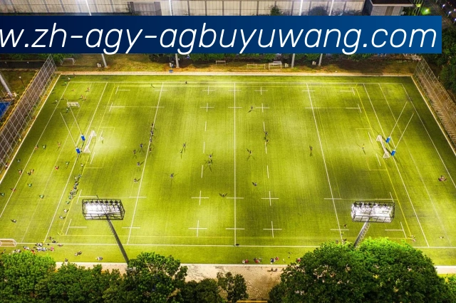 多媒体互动体验