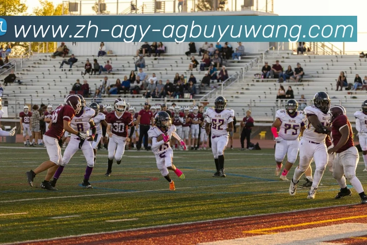 AG捕鱼王官网APP 体育赛事宣传图